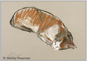Drawing by Stanley Roseman, "Sleeping Cat," 1988, chalks on paper, Teylers Museum,The Netherlands.  Stanley Roseman.